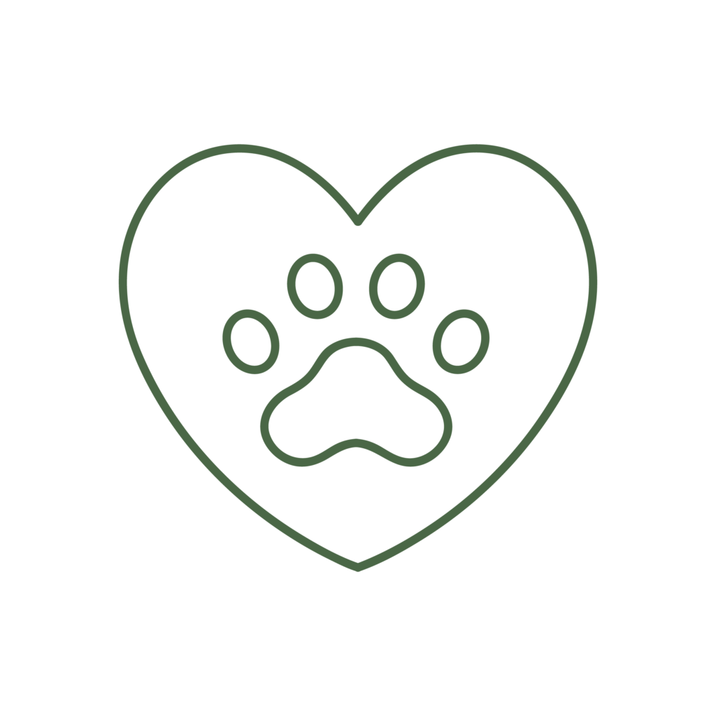 Icona illustrativa del servizio di cardiologia della Clinica Veterinaria Haziel