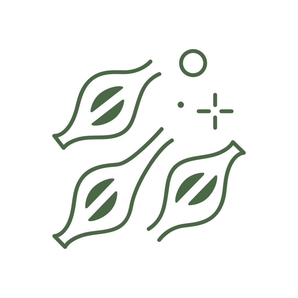 Icona illustrativa del servizio di chirurgia del tessuti molli della Clinica Veterinaria Haziel