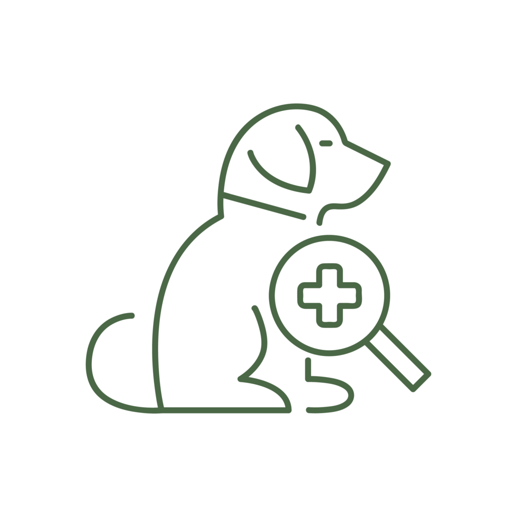 Icona illustrativa del servizio di dermatologia della Clinica Veterinaria Haziel