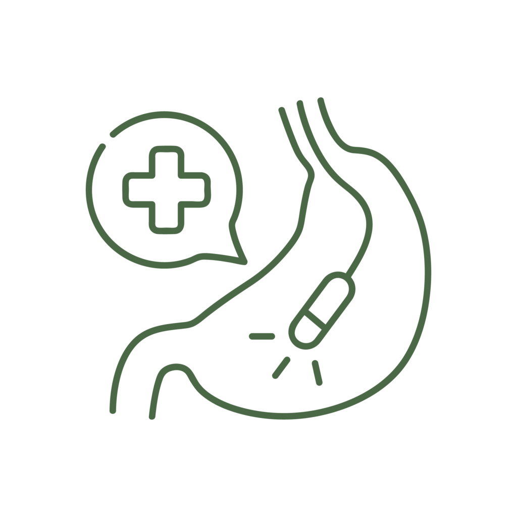 Icona illustrativa del servizio di endoscopia della Clinica Veterinaria Haziel