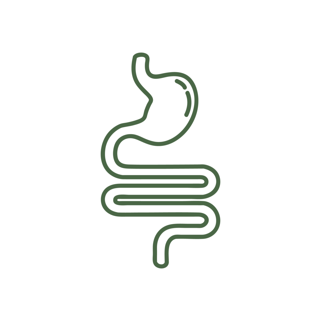 Icona illustrativa del servizio di laparascopia della Clinica Veterinaria Haziel