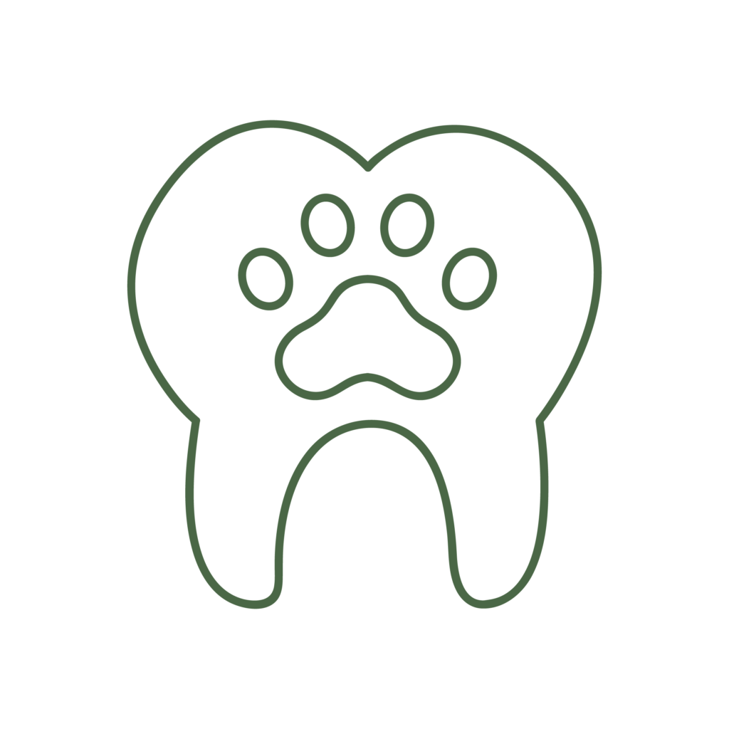 Icona illustrativa del servizio di odontostomatologia della Clinica Veterinaria Haziel