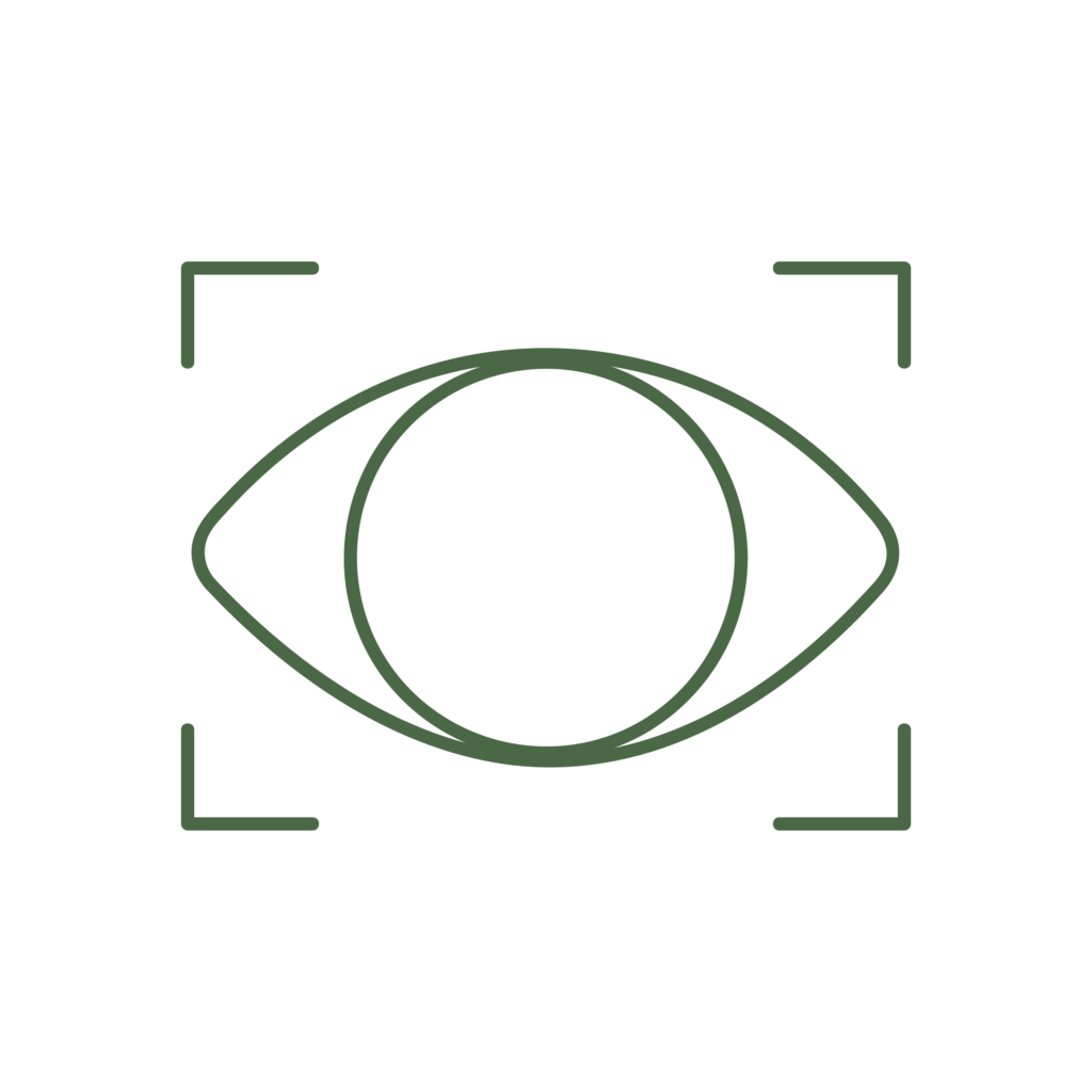 Icona illustrativa del servizio di oculistica della Clinica Veterinaria Haziel