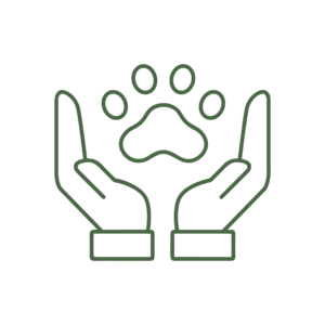 Icona illustrativa del servizio di Primary Care della Clinica Veterinaria Haziel