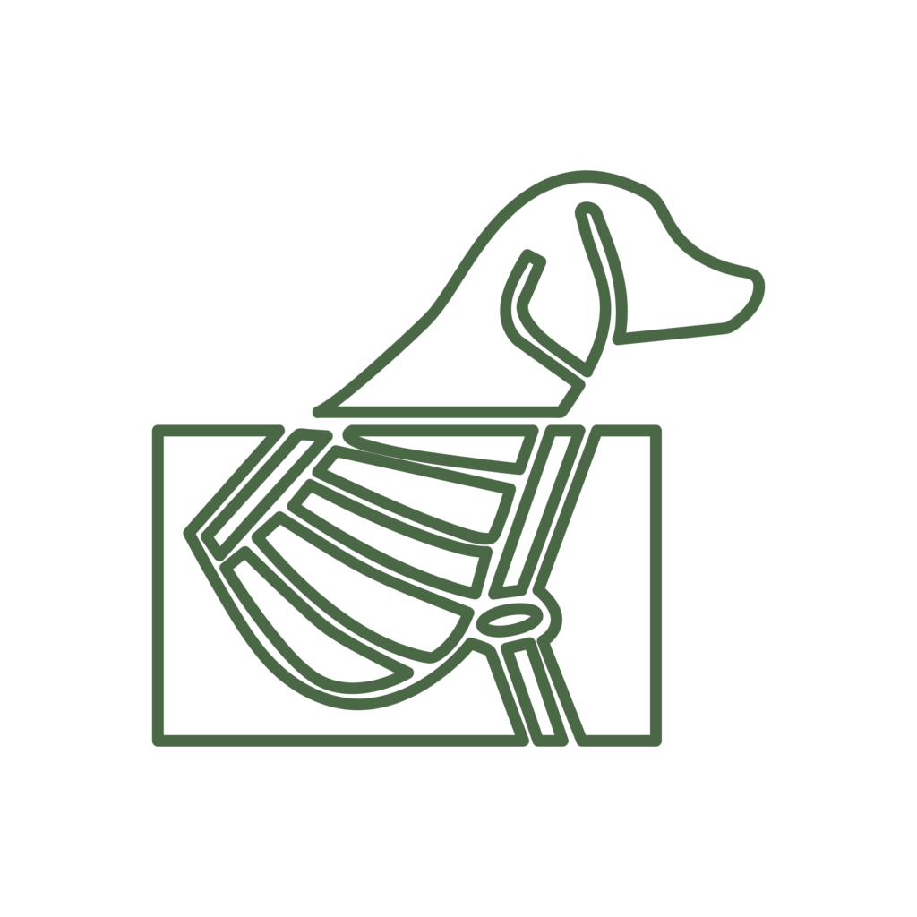 Icona illustrativa del servizio di radiologia della Clinica Veterinaria Haziel