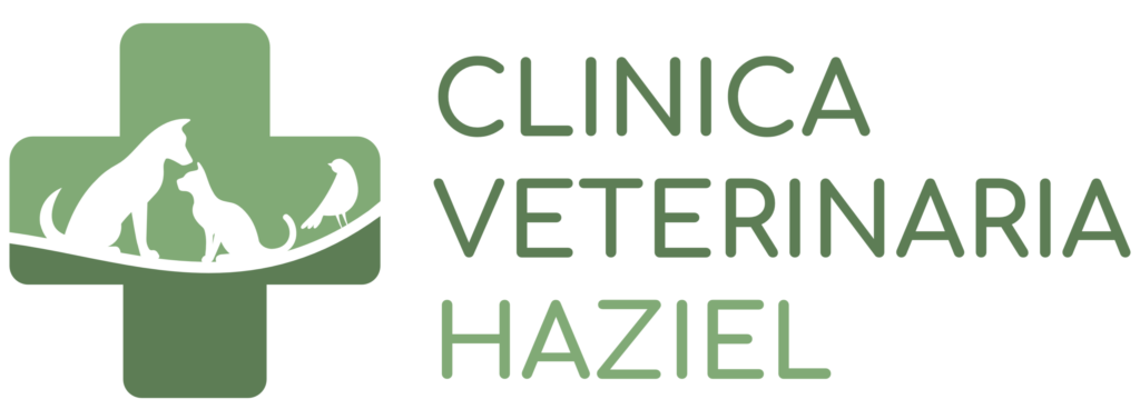 Il logo della Clinica Veterinaria Haziel