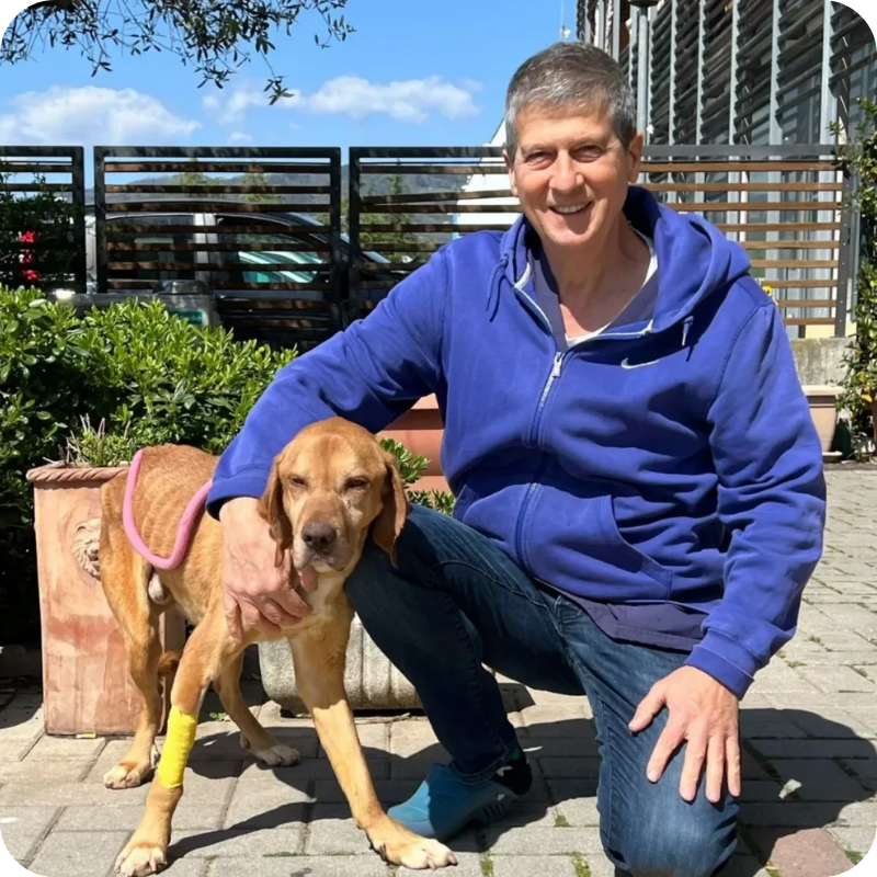 Il dott. Carlo Lertora, co-fondadore della clinica vererinaria haziel in compagnia di un cane marrone con la zampa fasciata