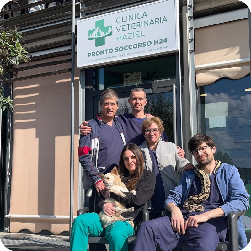 Alcuni membri del team della clinica veterinaria Haziel all'esterno della clinica